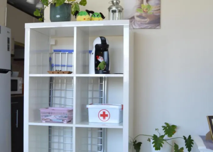 Bright, Modern In The Heart Of * アレシフェ