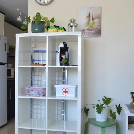 Bright, Modern In The Heart Of * アレシフェ